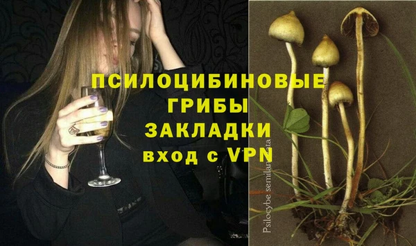 винт Алексин
