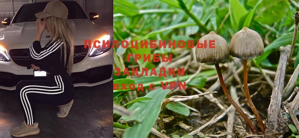 герыч Алексеевка