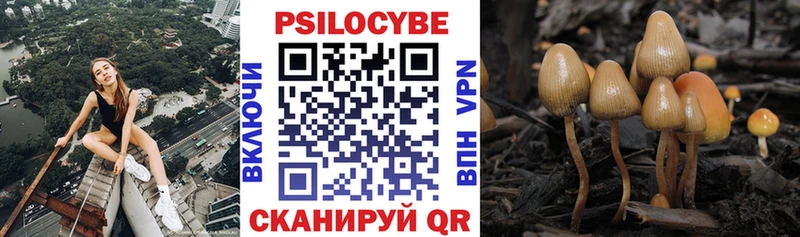 блэк спрут зеркало  Опочка  Псилоцибиновые грибы MAGIC MUSHROOMS 
